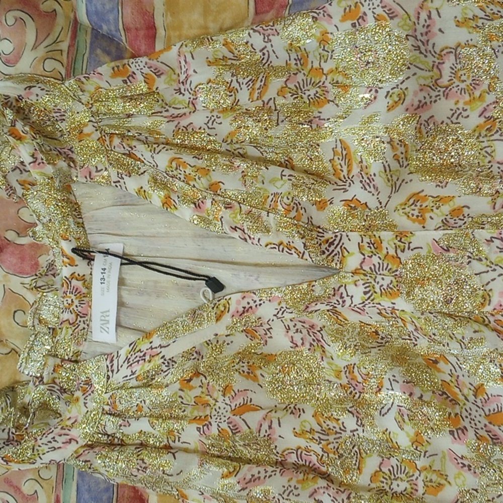 Zara Dress - Picture 9 of 9